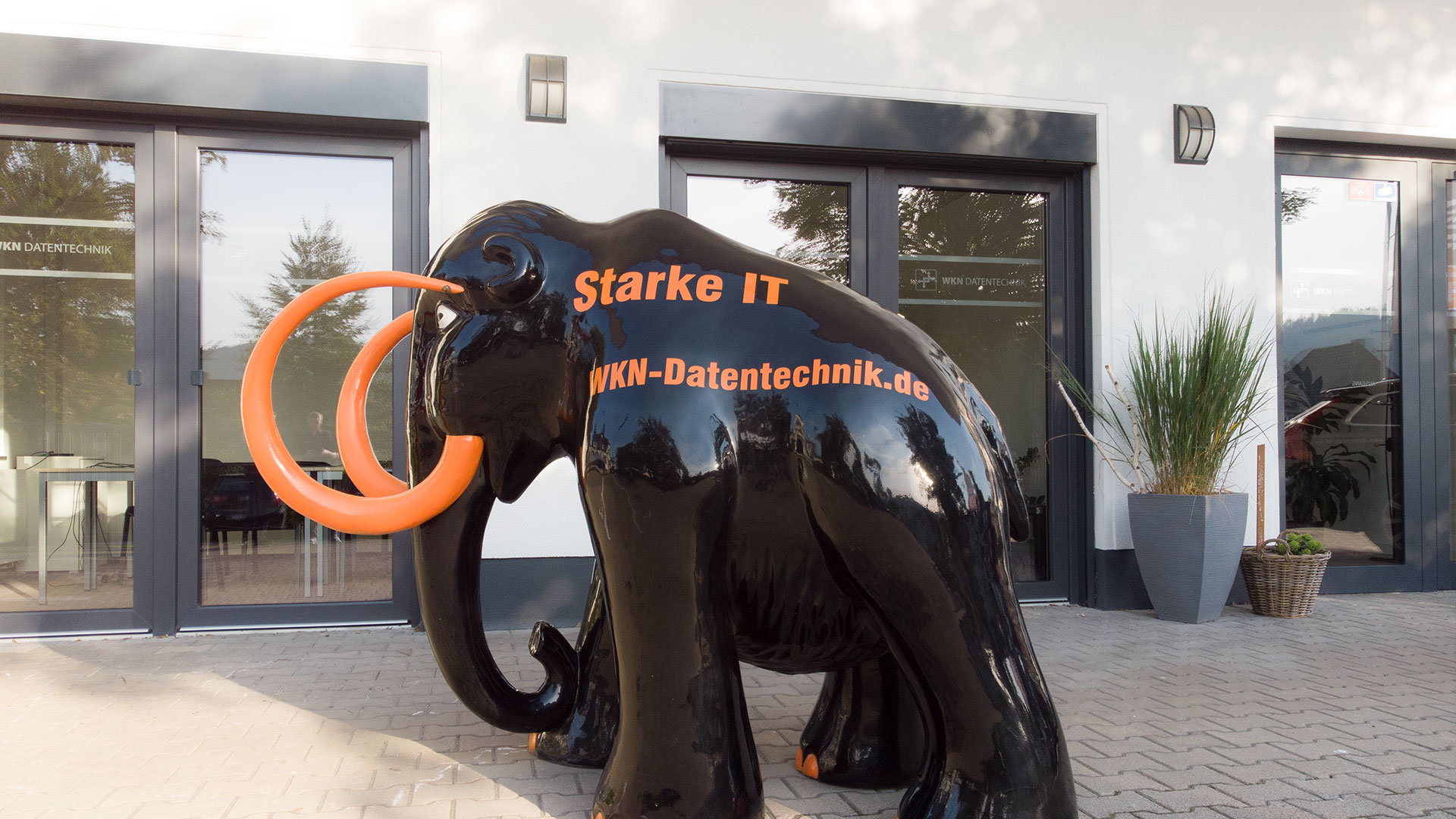 WKN_Starke-IT_003