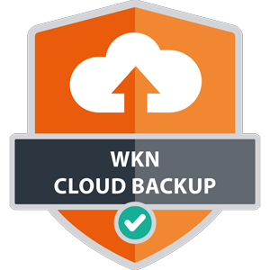 Cloud Backup Symbol
